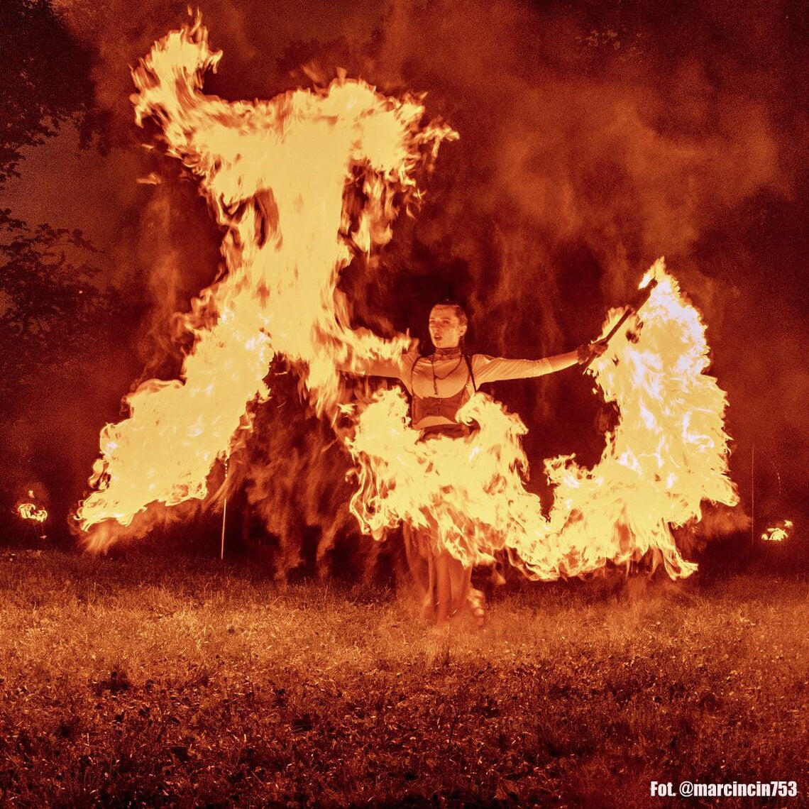 Dragon Lycopodium Fire Torch