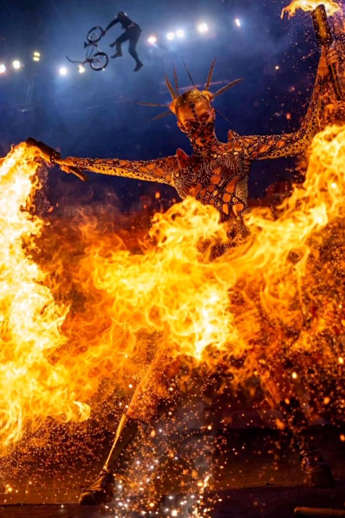 Dragon Lycopodium Fire Torch